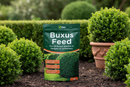 Vitax Buxus Feed  | Extended Nitrogen Release, Promotes Healthy Growth: 1Kg Pouch