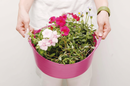 Tubtrugs Mini Shallow Bucket | Pink | 5 Litre&nbsp;