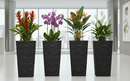 Fixtures Glaze Wave LARGE 55cm Planter {Grey}