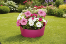 Tubtrugs Mini Shallow Bucket | Pink | 5 Litre&nbsp;