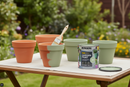 Ronseal Woodland Colours | Sapling Green | 1 x 2.5 Litre tin