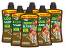 Doff Liquid Seaweed Concentrate 1.2L Extra Fill