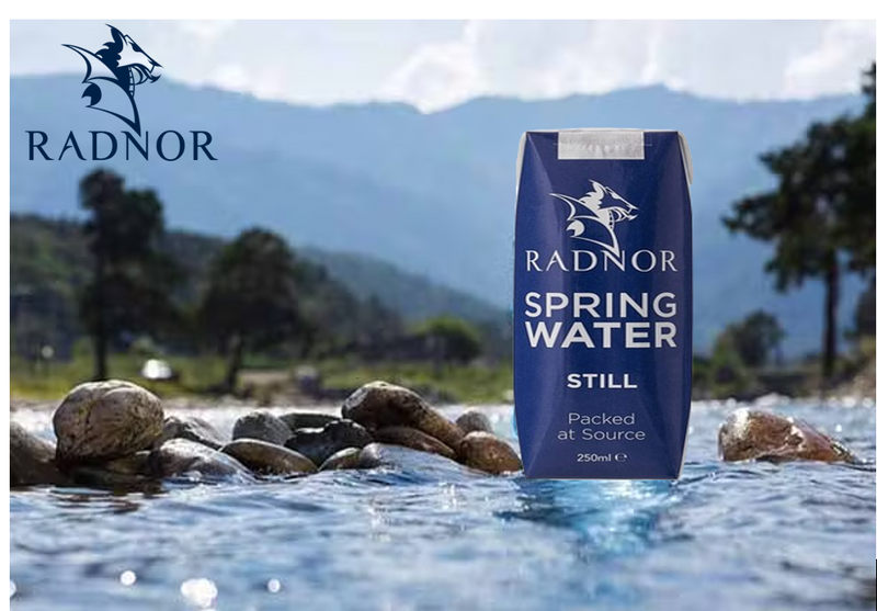 Radnor Hills Spring Still Water 24 x 250ml