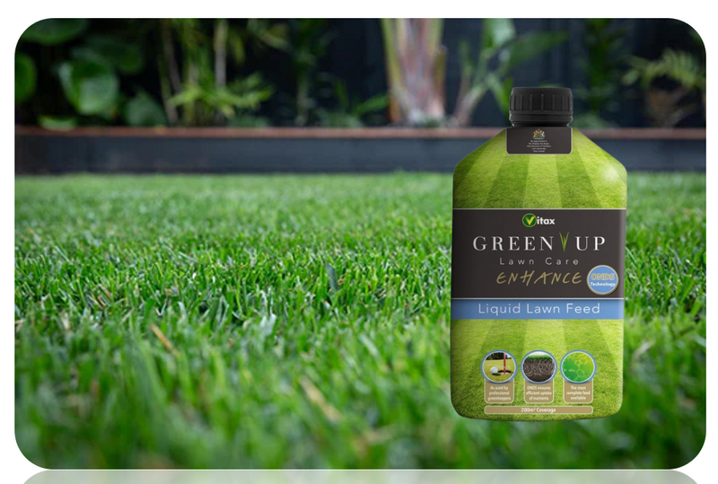 Vitax Green Up Enhance Lawn Care Liquid | Premium Lawn Feed | Highly Concentrated 200ml