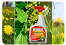 Weedol Rapid Weedkiller, Ready To Use, 1L