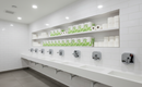 Maxima Green Toilet Rolls White 320 Sheet x 36's