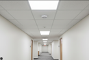 Black & Decker Smoke Alarm | 5 Year Replaceable Battery | Optical Sensor