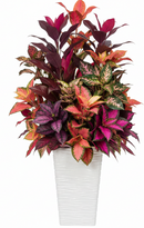 Fixtures Glaze Wave High Gloss LARGE Planter {White} Indoor or Outdoor