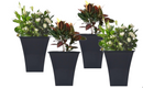 Wham Black Square Metallica Pot 23cm H307