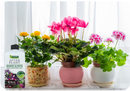 Empathy After Plant Basket and Patio Liquid Seaweed Feed 1 Litre Concentrate