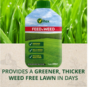 Vitax Green Up Liquid Feed & Weed | Highly Concentrated | 1 Litre.
