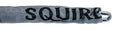 Henry Squire Cp48P Cp Hardened Steel Security Chain With Grey Sleeve, 1200 Mm Chain