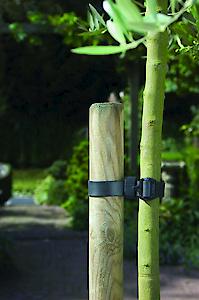 Apollo Gardening Ltd 18" Buckle Tree Ties 2Pk 75916