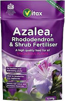 Azalea Rhododendron & Shrub Feed (900G)