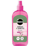 MG SPRAY & SPRITZ ORCHID 300ml