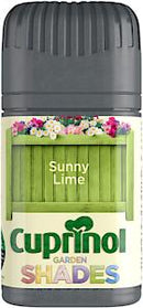 CX GS SUNNY LIME *Dis*