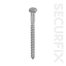 Coach Screw Zp M6X75Mm(20) T11276