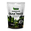 Bio-Active Natural Plant Food For Olive Trees