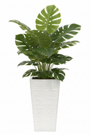 Fixtures Glaze Wave High Gloss LARGE Planter {White} Indoor or Outdoor