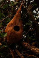 Bird Nest Medium - 1 per pack