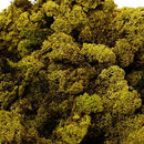 Oasis Finland Moss Light Green