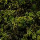 Oasis Finland Moss Dark Green