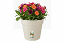 Elho Green Basics Grow Pot 13cm COTTON WHITE
