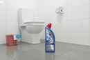 Domestos Professional Formula Mould Free Treatment 750ml
