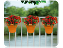 Fixtures Hang Easy Single Eco Planter | Fence or Balcony Hook on Planters | Terracotta/Orange