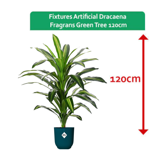 Fixtures Artificial Dracaena Fragrans Green Tree Large 120cm