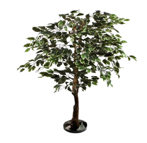 Fixtures Artificial Green Ficus Tree 100cm