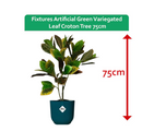 Fixtures Artificial Green Variegated Leaf Croton Tree 75cm