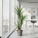 Fixtures Artificial Green Spanish Blue Plant 110cm