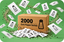 Core Individual 1g Pepper Sachets 2000's