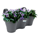 Elho Corsica Easy Hanger Trio Anthracite Planter {100% recyclable}