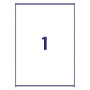 Avery Laser Parcel Label 1 Per Sheet Clear (Pack of 25) L7567-25
