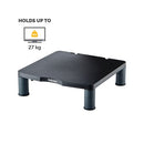 Fellowes Standard Monitor Stand Graphite 9169301