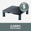 Fellowes Standard Monitor Stand Graphite 9169301