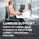 Fellowes Lumbar Cushion Black 100119853