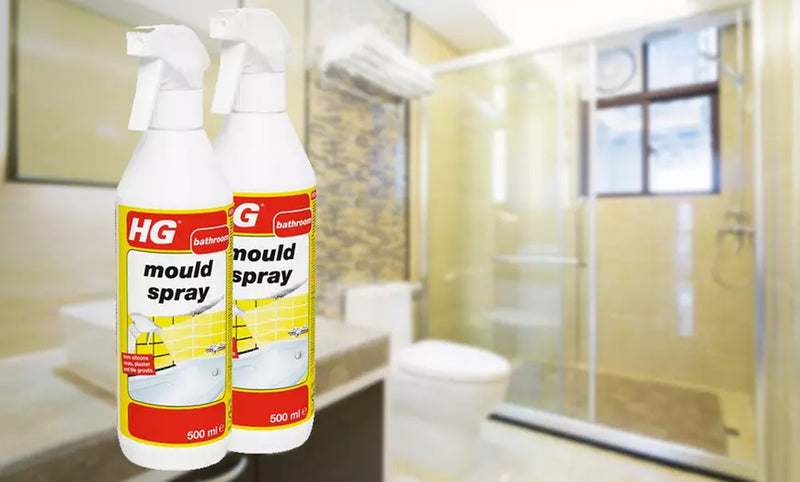 HG Mould Spray 500ml