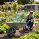 Vitax 6X strength Pelleted Chicken Manure 20KG