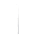 Durable A4 6mm Spine Bar Transparent (Pack of 50) 2931/19