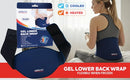 Deflecto Reusable Cool and Heat Pack for Lower Back Blue DEFCP-LBCK