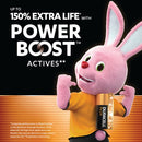Duracell Plus AA Batteries with Power Boost (Pack of 24) 5019178