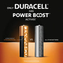 Duracell Plus AA Batteries with Power Boost (Pack of 24) 5019178