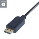Connekt Gear USB C To Dport Connector Cable 2M 26-2995