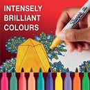 Sharpie Permanent Markers Fine Colouring Pens Assorted (Pack of 24) 2205177