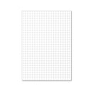 Hamelin Loose Leaf Paper 10mm Squared 1000 Page Unpunched A4 (Pack of 5) 100101547