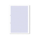 Hamelin Loose Leaf Graph Paper 10mm 1000 Page Punched 2 Hole A4 (Pack of 5) 100104375