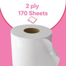 Andrex Family Toilet Roll 2-Ply 170 Sheets per Roll Pack of 24 4978918